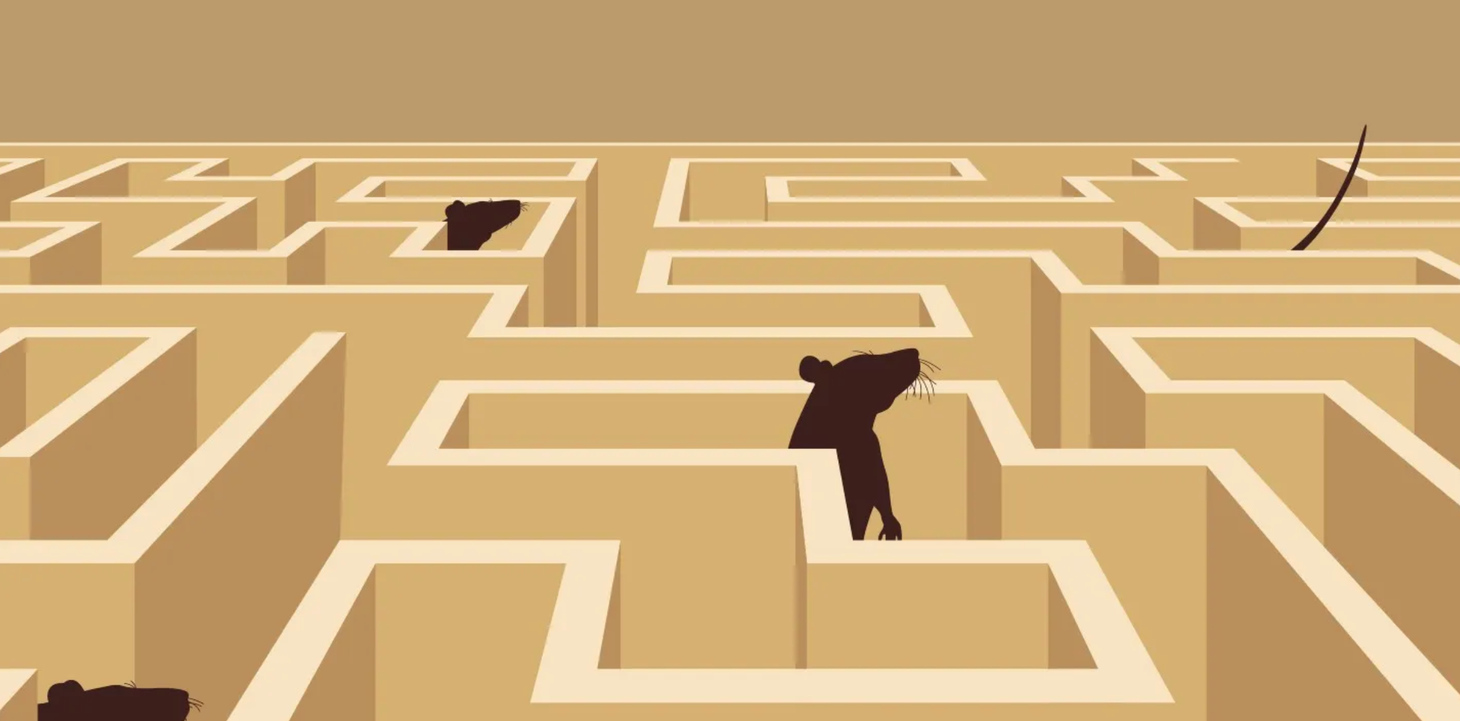 What if Distress is a Feature, Not a Bug?