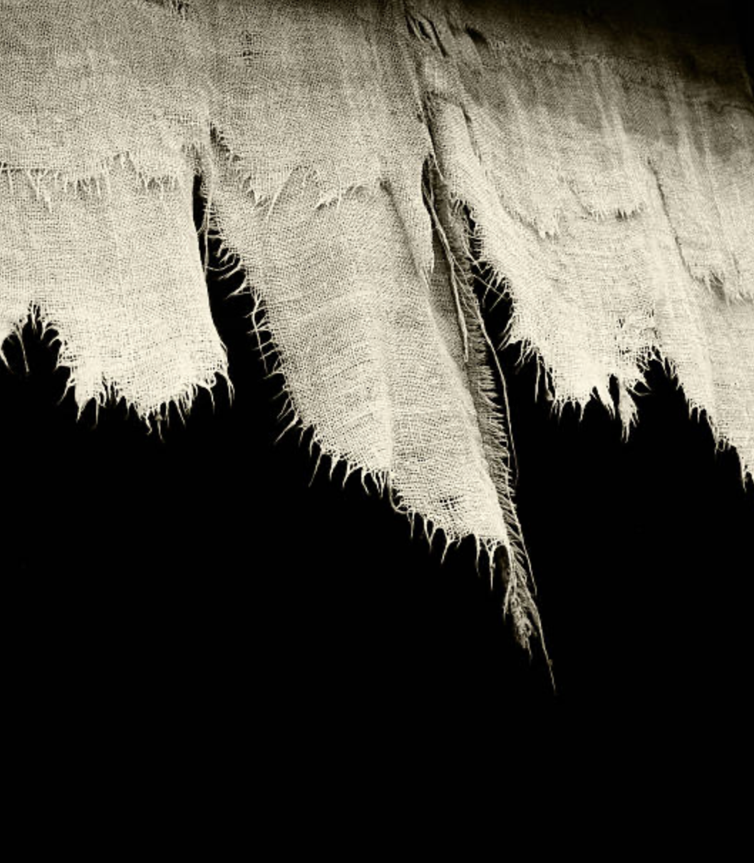 Amplification, Acceleration, Aggravation: How Social Media Rips Us Apart