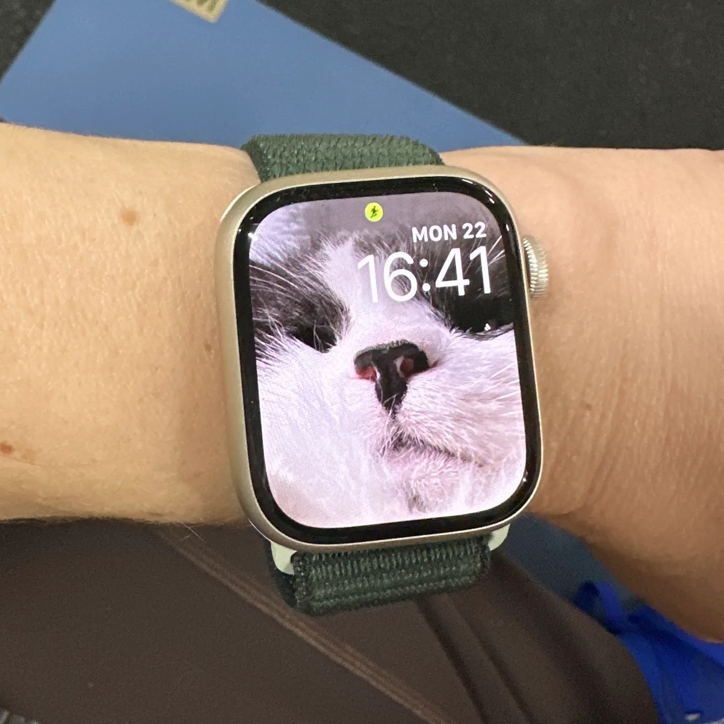 a photo of a woman's wrist with an Apple Watch on it, and on the watch face is a photo of a cat's face up close