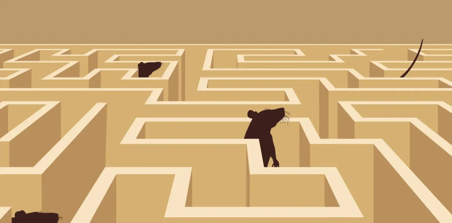 What if Distress is a Feature, Not a Bug?