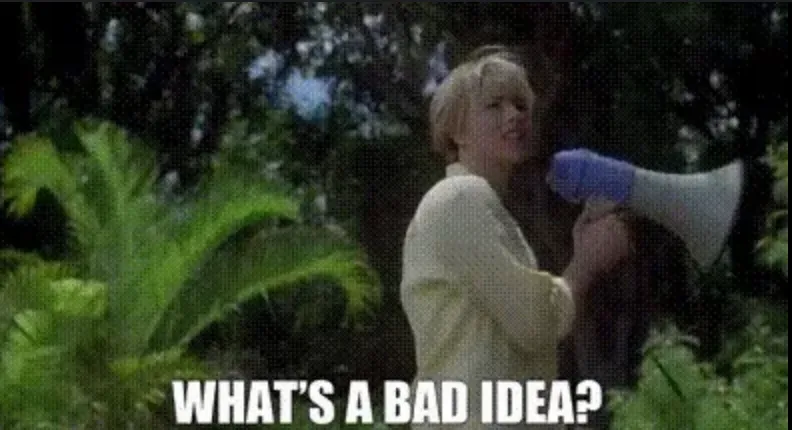 Please Tell Me if This is a Bad Idea