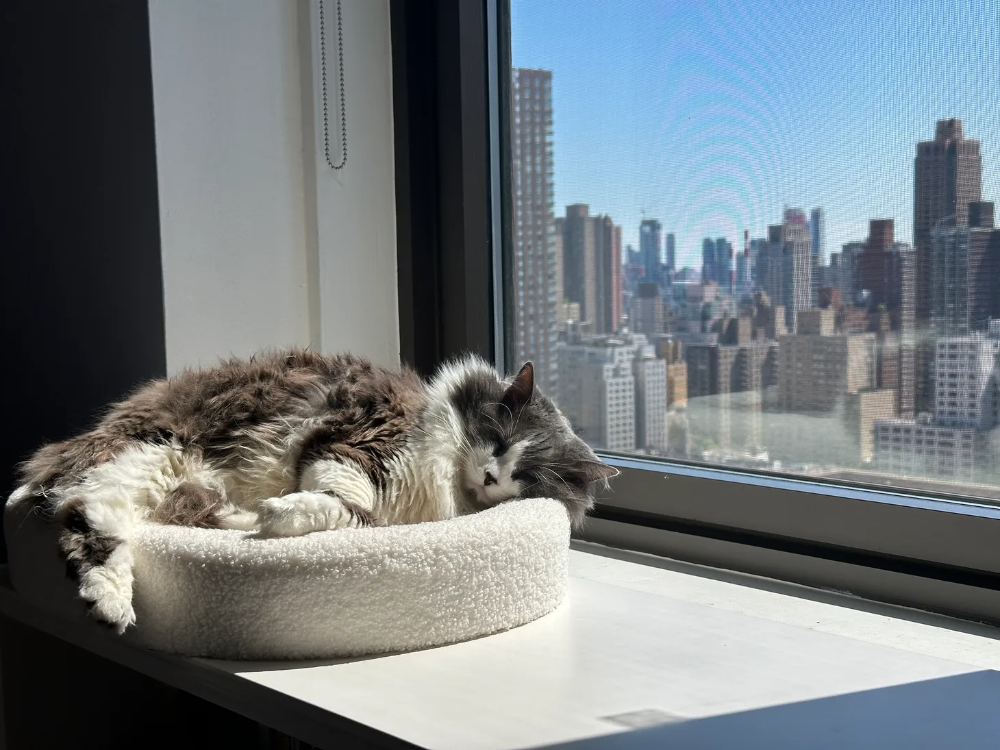 We Interrupt This Broadcast to Get Totally Unhinged