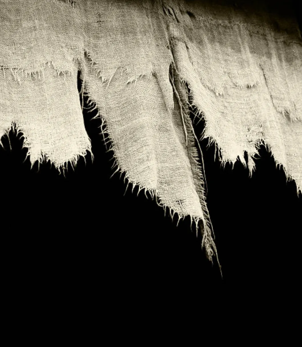 Amplification, Acceleration, Aggravation: How Social Media Rips Us Apart